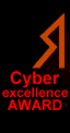 E. Slyman's Cyber Excellence Award